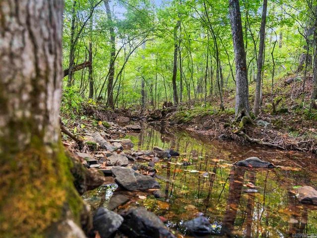 217 Wildflower Court, Hot Springs, AR 71909