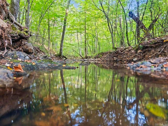 217 Wildflower Court, Hot Springs, AR 71909