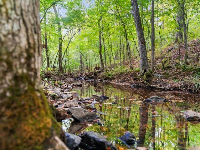 217 Wildflower Court, Hot Springs, AR 71909