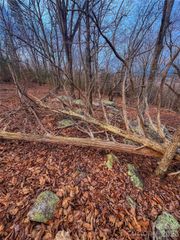 2243 Sierra Trace Road, Denton, NC 27239