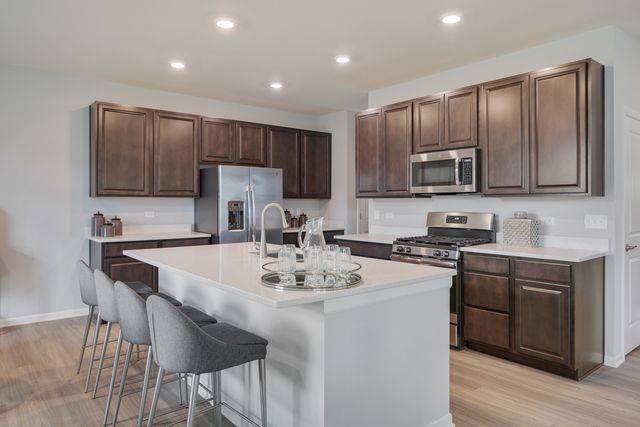 1794 Coralito Lane, Elgin, IL 60124