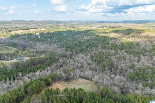 1321 RED OAK ROAD, Helena, AL 35080