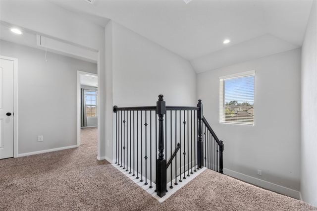 28212 Mallard Reach Drive, Spring, TX 77386