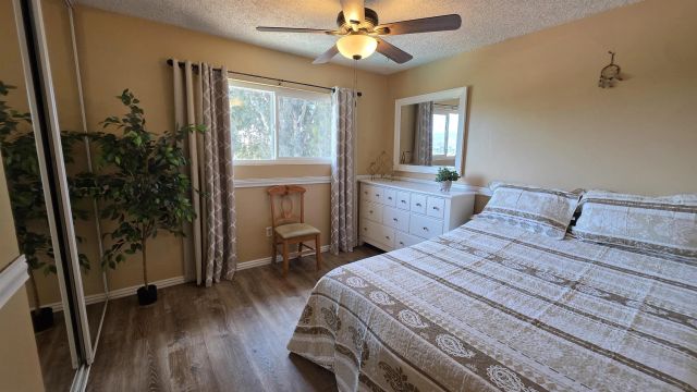 1619 Curry Comb Dr, San Marcos, CA 92069