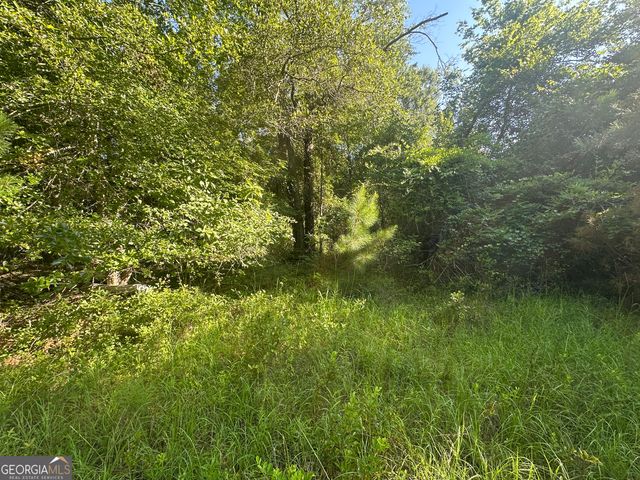 0 Burtons Ferry Highway, Sylvania, GA 30467