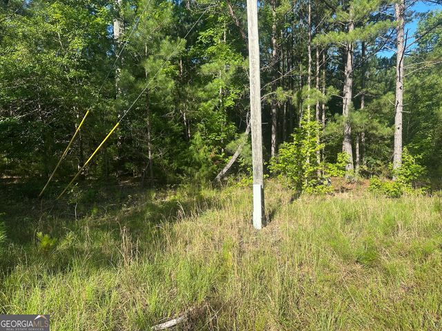 0 Burtons Ferry Highway, Sylvania, GA 30467