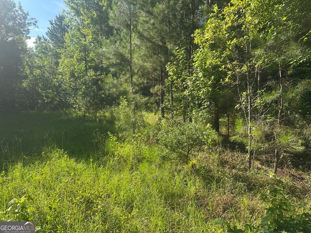 0 Burtons Ferry Highway, Sylvania, GA 30467