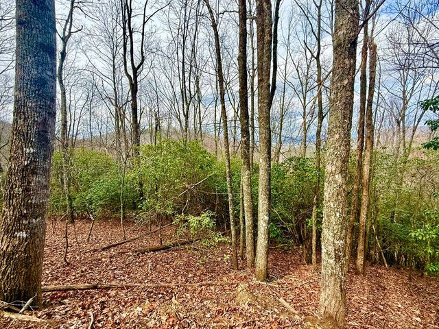 3.06 Ac Ridgeline Drive, Brasstown, SC 29802