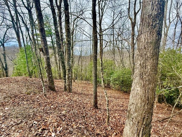 3.06 Ac Ridgeline Drive, Brasstown, SC 29802