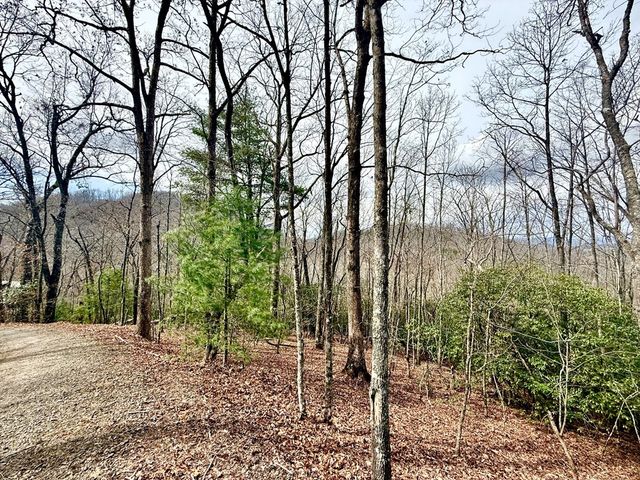 3.06 Ac Ridgeline Drive, Brasstown, SC 29802