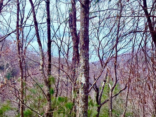 3.06 Ac Ridgeline Drive, Brasstown, SC 29802