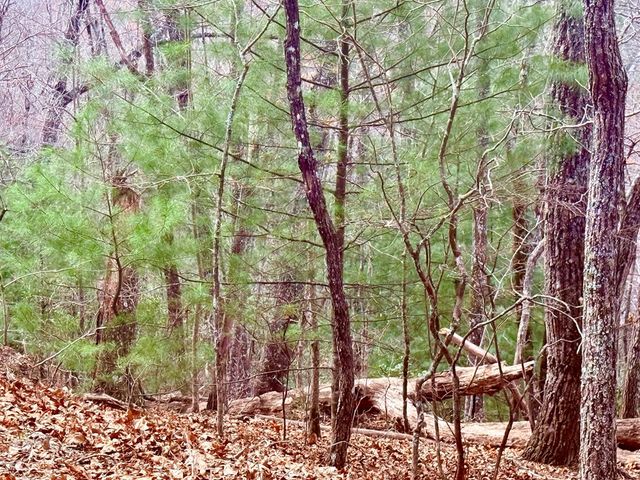 3.06 Ac Ridgeline Drive, Brasstown, SC 29802