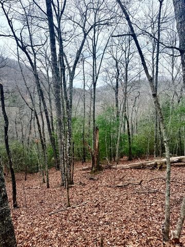 3.06 Ac Ridgeline Drive, Brasstown, SC 29802