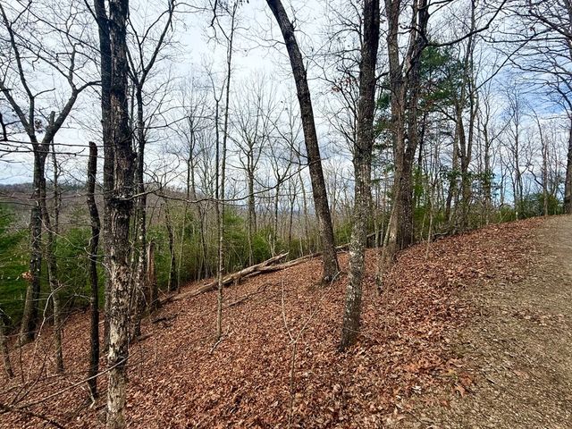 3.06 Ac Ridgeline Drive, Brasstown, SC 29802