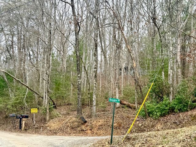 3.06 Ac Ridgeline Drive, Brasstown, SC 29802