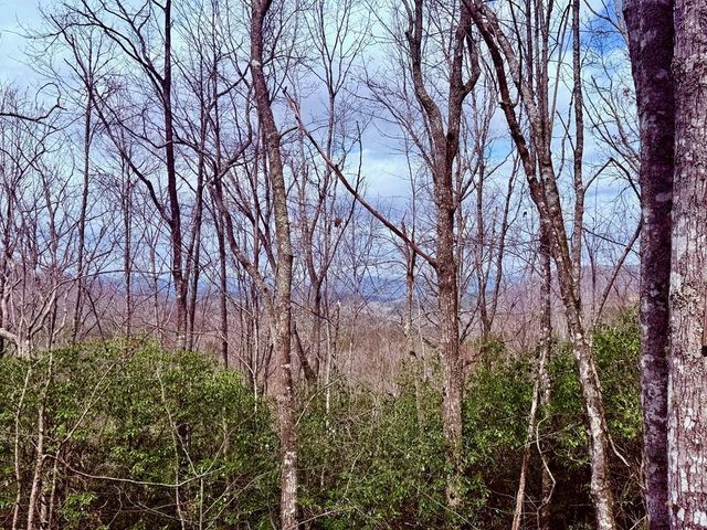 3.06 Ac Ridgeline Drive, Brasstown, SC 29802