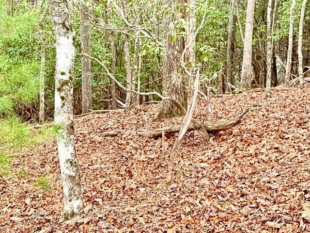 3.06 Ac Ridgeline Drive, Brasstown, SC 29802