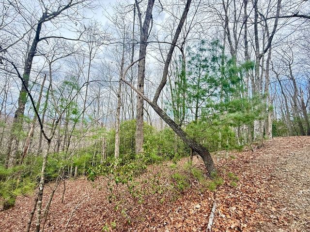 3.06 Ac Ridgeline Drive, Brasstown, SC 29802