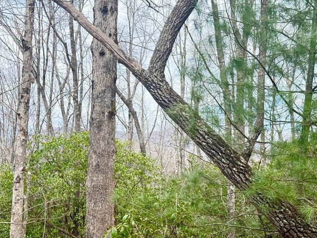 3.06 Ac Ridgeline Drive, Brasstown, SC 29802