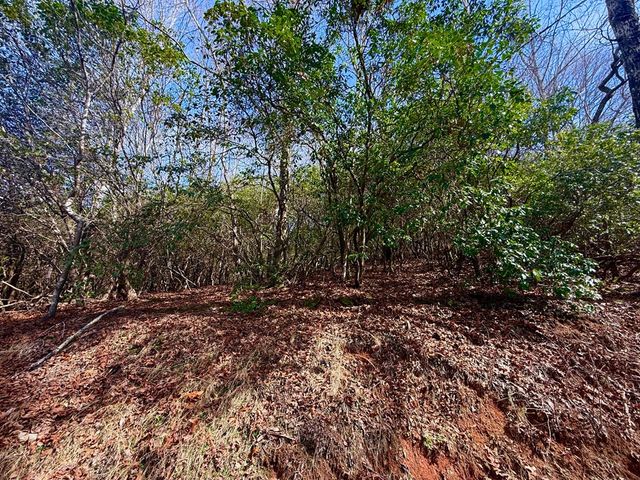 3.06 Ac Ridgeline Drive, Brasstown, SC 29802