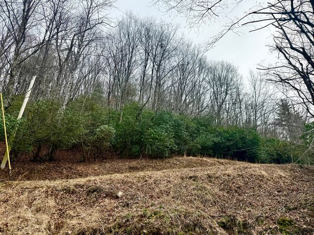 3.06 Ac Ridgeline Drive, Brasstown, SC 29802