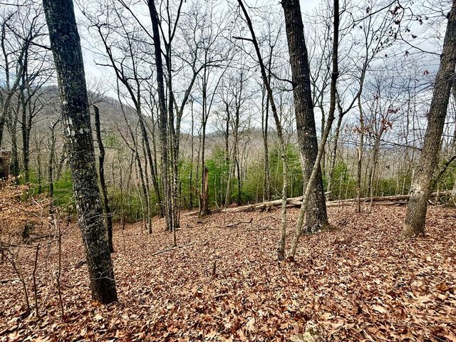 3.06 Ac Ridgeline Drive, Brasstown, SC 29802