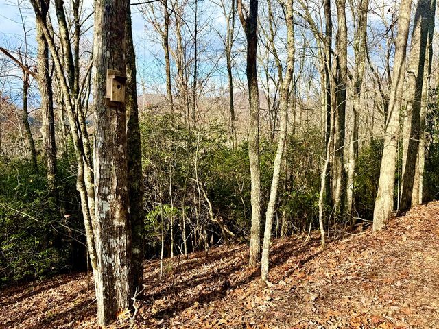 3.06 Ac Ridgeline Drive, Brasstown, SC 29802
