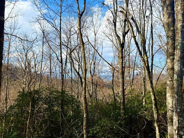 3.06 Ac Ridgeline Drive, Brasstown, SC 29802