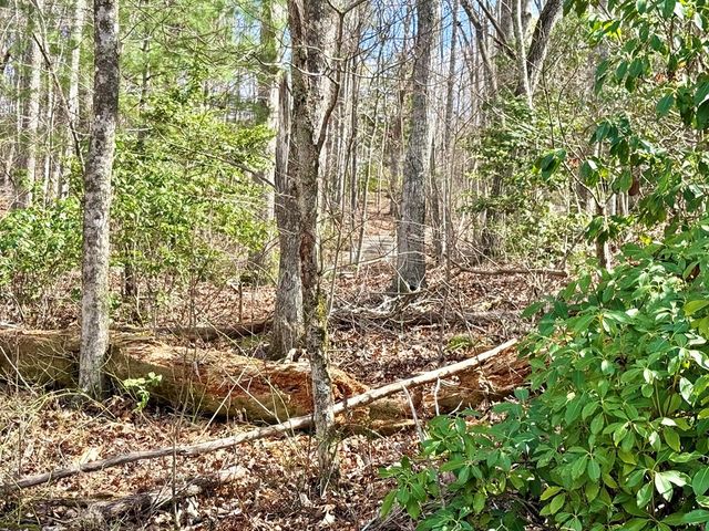3.06 Ac Ridgeline Drive, Brasstown, SC 29802
