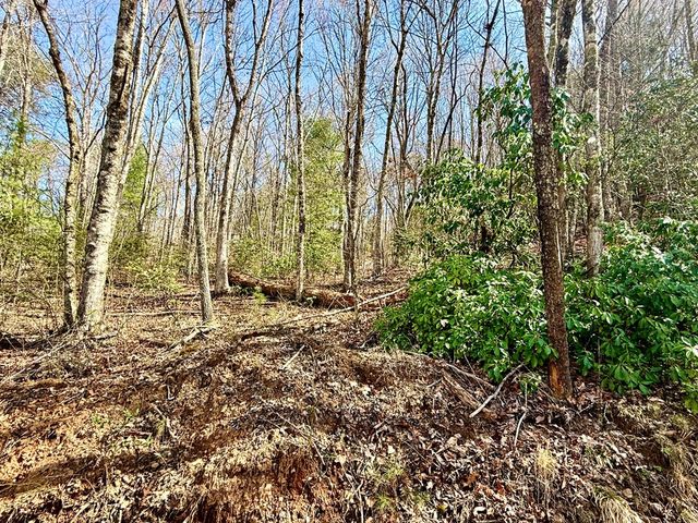 3.06 Ac Ridgeline Drive, Brasstown, SC 29802