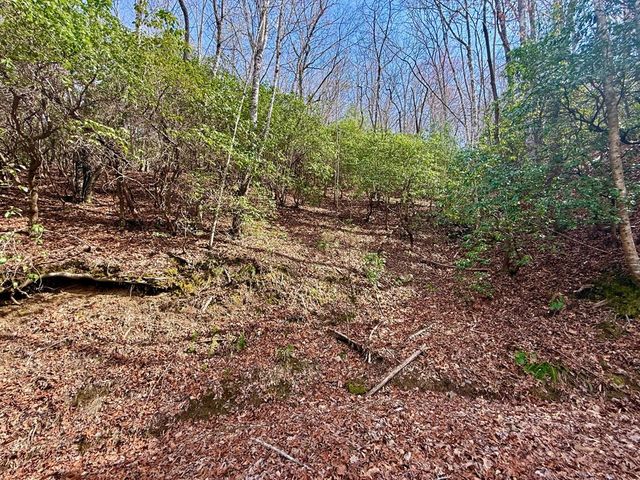 3.06 Ac Ridgeline Drive, Brasstown, SC 29802