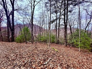 3.06 Ac Ridgeline Drive, Brasstown, SC 29802