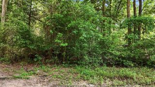 164 Road 2699, Cleveland, TX 77327