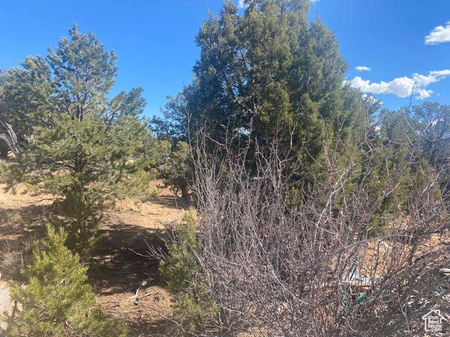 39775 W 6820 S, Fruitland, UT 84027