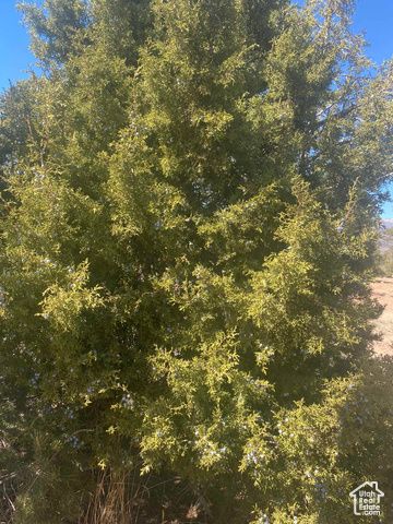 39775 W 6820 S, Fruitland, UT 84027