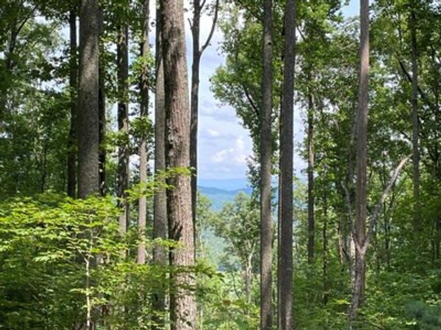 Lot 1 High Country Lane, Morganton, GA 30560