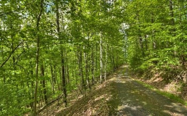 Lot 1 High Country Lane, Morganton, GA 30560