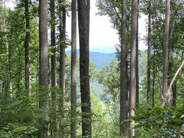 Lot 1 High Country Lane, Morganton, GA 30560