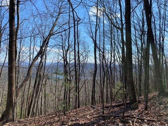 Lot 1 High Country Lane, Morganton, GA 30560