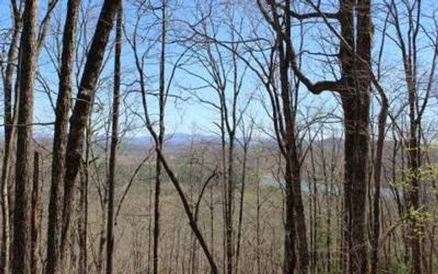 Lot 1 High Country Lane, Morganton, GA 30560