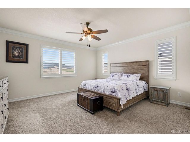 6142 Leilani Ln, Castle Rock, CO 80108