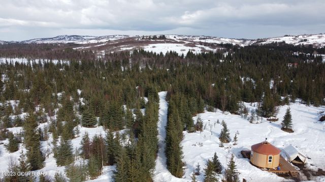 64529 Kodiaks Court, Nikolaevsk, AK 99556