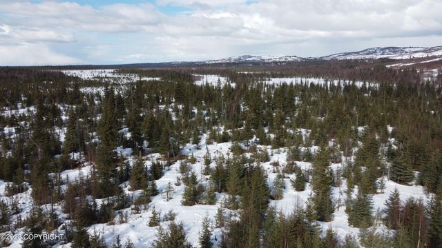 64529 Kodiaks Court, Nikolaevsk, AK 99556