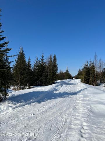 64529 Kodiaks Court, Nikolaevsk, AK 99556