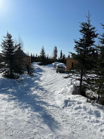 64529 Kodiaks Court, Nikolaevsk, AK 99556