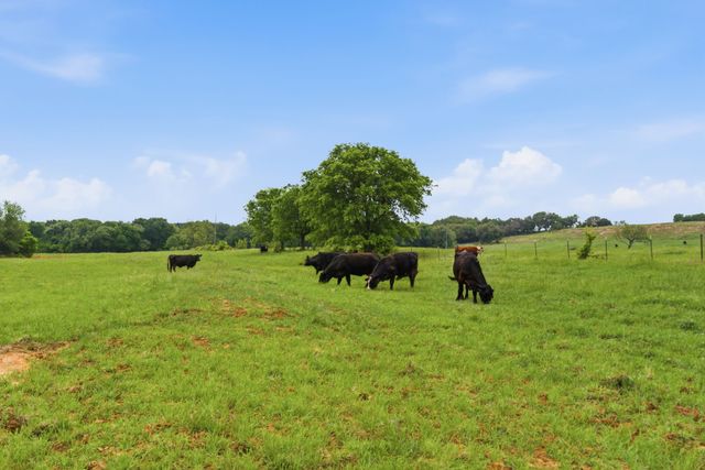 10501-8 Mitchell Bend Court, Granbury, TX 76048