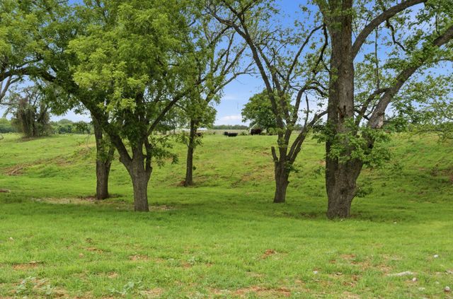 10501-8 Mitchell Bend Court, Granbury, TX 76048