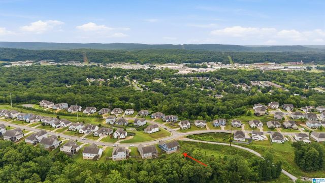 1061 CAMELLIA RIDGE DRIVE, Pelham, AL 35124