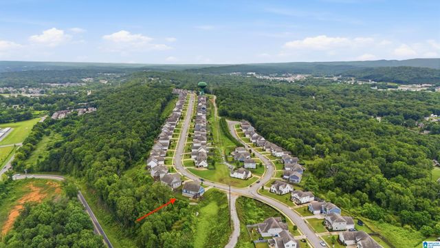1061 CAMELLIA RIDGE DRIVE, Pelham, AL 35124