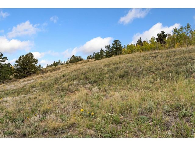 697 N Beaver Rd, Black Hawk, CO 80422